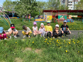 В группе Радуга МАДОУ № 9 тематическая неделя В группе Радуга МАДОУ № 9 тематическая неделя.